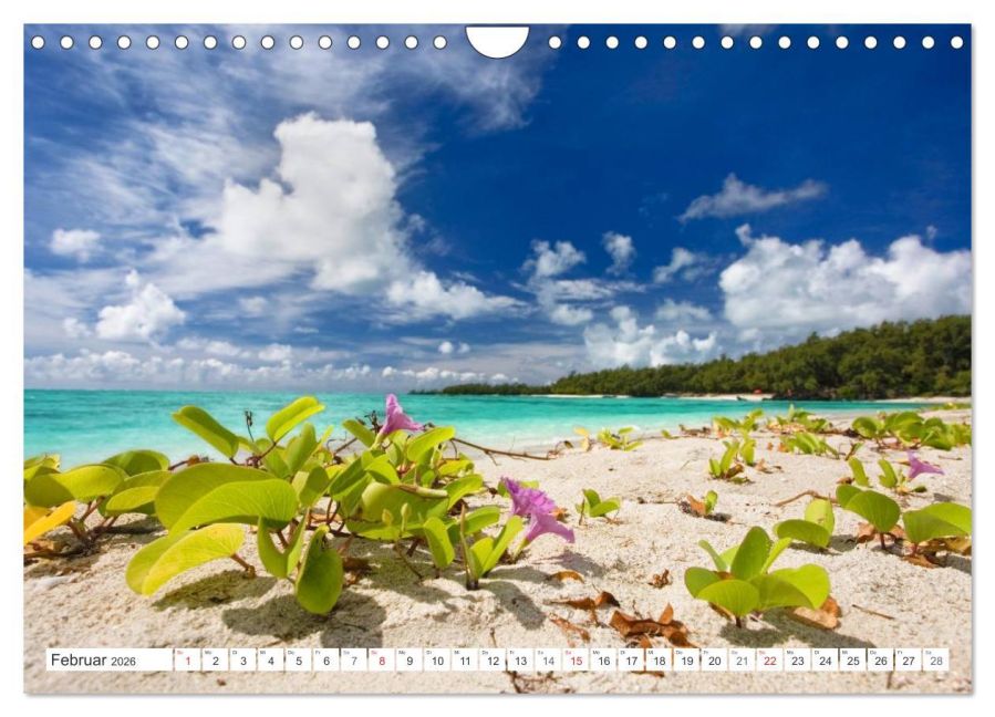 InsideView 7