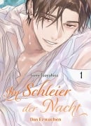 Cover-Bild zum Titel 'Im Schleier der Nacht: Das Erwachen 01 (Im Schleier der Nacht 03)' von 'Fumi Tsuyuhisa'