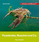 Cover-Bild zum Titel 'Flusskrebs, Muschel und Co.' von 'Barbara Rath'