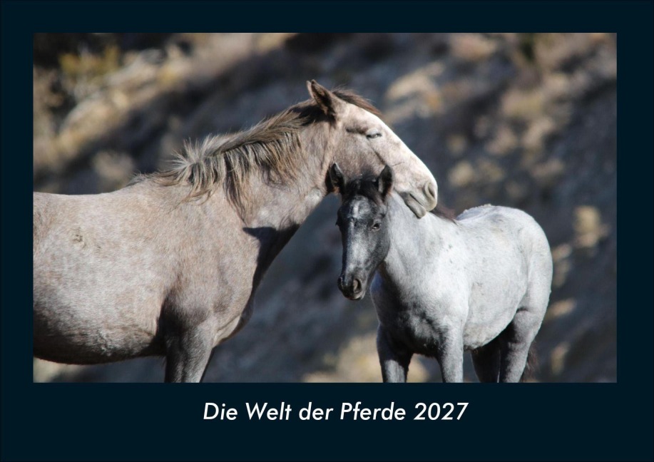 Die Welt der Pferde 2027 Fotokalender DIN A4 - Tobias Schmitt, Kevin Heber