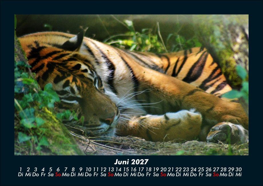 InsideView 10