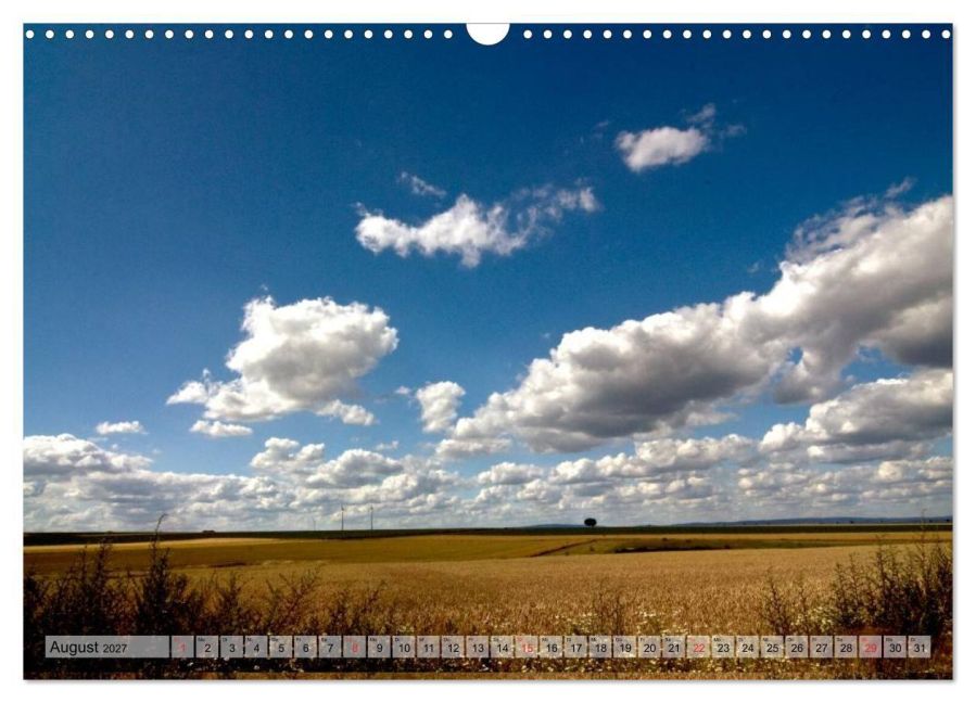 InsideView 13