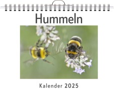 Cover-Bild zum Titel 'Hummeln - (Wandkalender 2025, Kalender DIN A4 quer, Monatskalender im Querformat mit Kalendarium, das perfekte Geschenk)' von 'Amelia Keller'