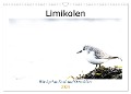 Limikolen - Watvögel an Nord- und Ostseeküste (Wandkalender 2024 DIN A3 quer), CALVENDO Monatskalender - Christof Martin
