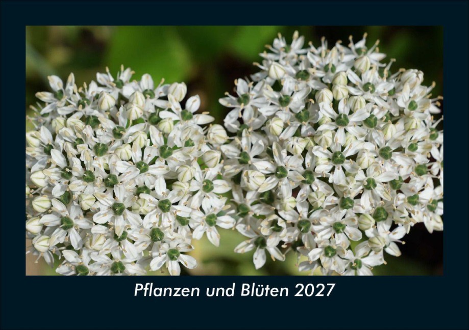 Pflanzen und Blüten 2027 Fotokalender DIN A5 - Tobias Schmitt, Kevin Heber