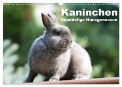 Kaninchen - knuddelige Hausgenossen (Wandkalender 2026 DIN A3 quer), CALVENDO Monatskalender - Fotodesign Verena Scholze