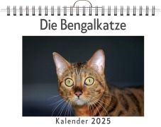 Cover-Bild zum Titel 'Die Bengalkatze' von 'Hannah Meyer'