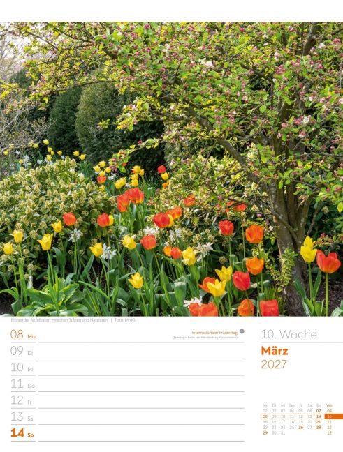 InsideView 14
