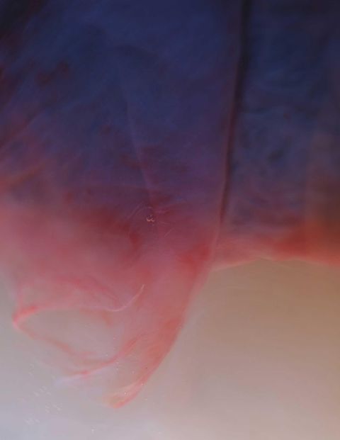 InsideView 1