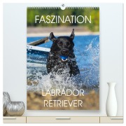 Cover-Bild zum Titel 'Faszination Labrador Retriever (hochwertiger Premium Wandkalender 2026 DIN A2 hoch), Kunstdruck in Hochglanz' von 'Sigrid Starick'