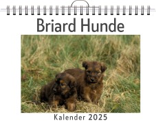 Cover-Bild zum Titel 'Briard Hunde' von 'Olivia Frank'