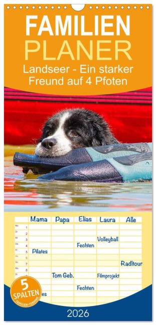 Familienplaner 2026 - Landseer - Ein starker Freund auf 4 Pfoten mit 5 Spalten (Wandkalender, 21 x 45 cm) CALVENDO - Sigrid Starick