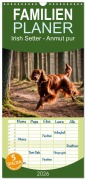 Familienplaner 2026 - Irish Setter - Anmut pur mit 5 Spalten (Wandkalender, 21 x 45 cm) CALVENDO - Claudia Kleemann