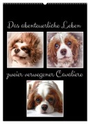Cover-Bild zum Titel 'Das abenteuerliche Leben zweier verwegener Cavaliere (Wandkalender 2026 DIN A2 hoch), CALVENDO Monatskalender' von 'Eva Ola Feix'