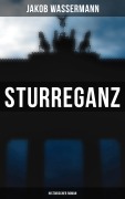 Cover-Bild zum Titel 'Sturreganz: Historischer Roman' von 'Jakob Wassermann'
