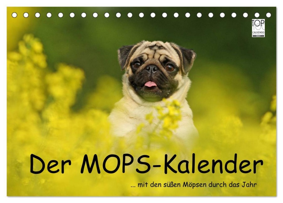 Der MOPS-Kalender (Tischkalender 2025 DIN A5 quer), CALVENDO Monatskalender - Kathrin Köntopp