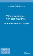 Cover-Bild zum Titel 'Mineurs étrangers non accompagnés' von 'Brigitte Tison, Juliette Leconte'