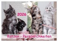 Cover-Bild zum Titel 'Katzen Persönlichkeiten 2026 (Wandkalender 2026 DIN A2 quer), CALVENDO Monatskalender' von 'Patrick Rüberg'