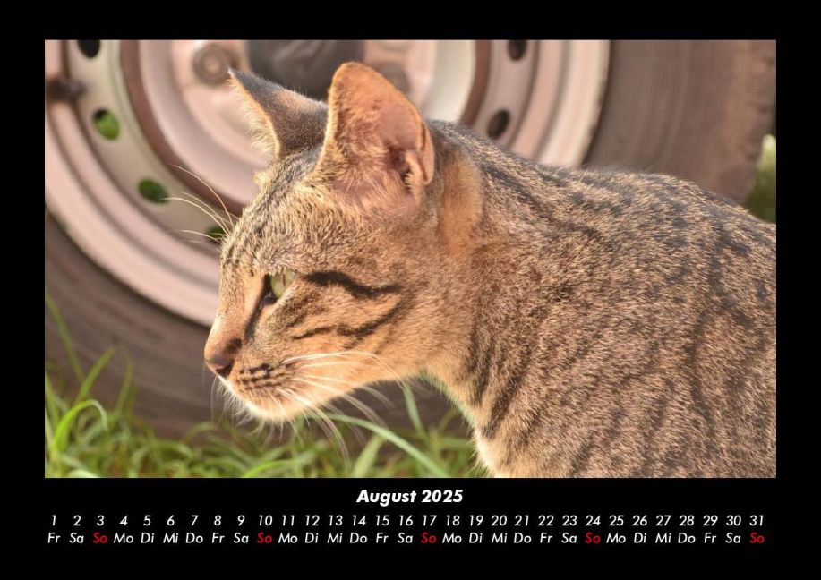 InsideView 12