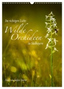 Cover-Bild zum Titel 'Im richtigen Licht: Wilde Orchideen in Südbayern (Wandkalender 2026 DIN A3 hoch), CALVENDO Monatskalender' von 'Stefan Sporrer'