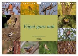 Cover-Bild zum Titel 'Vögel ganz nah (Wandkalender 2026 DIN A4 quer), CALVENDO Monatskalender' von 'Winfried Erlwein'