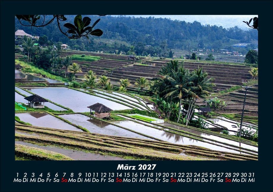 InsideView 7