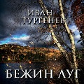 Cover-Bild zum Titel 'Bezhin Meadow' von 'Ivan Turgenev'