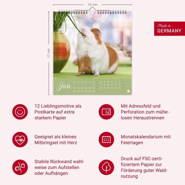 InsideView 13