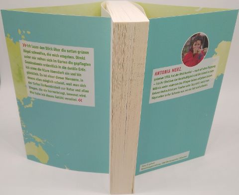 InsideView 8