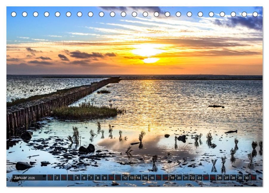 InsideView 6