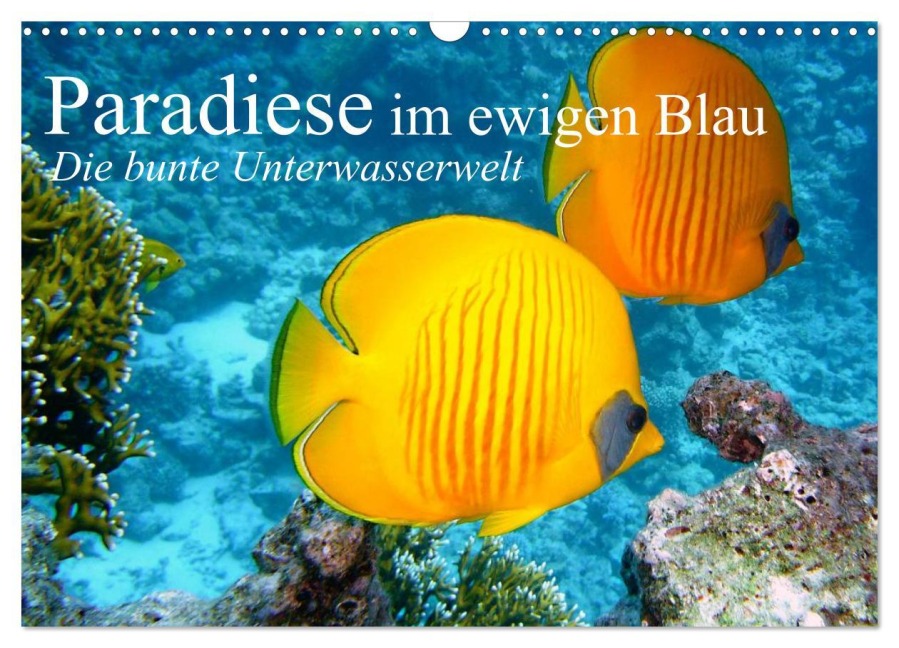 Paradiese im ewigen Blau. Die bunte Unterwasserwelt (Wandkalender 2025 DIN A3 quer), CALVENDO Monatskalender - Elisabeth Stanzer