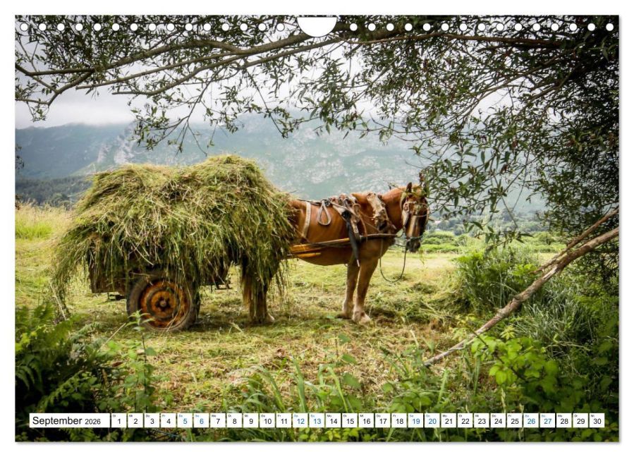 InsideView 14