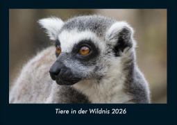 Cover-Bild zum Titel 'Tiere in der Wildnis 2026 Fotokalender DIN A4' von 'Tobias Becker'