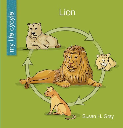 Lion - Susan H Gray