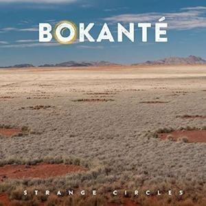 Strange Circles - Bokante
