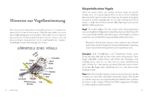 InsideView 4
