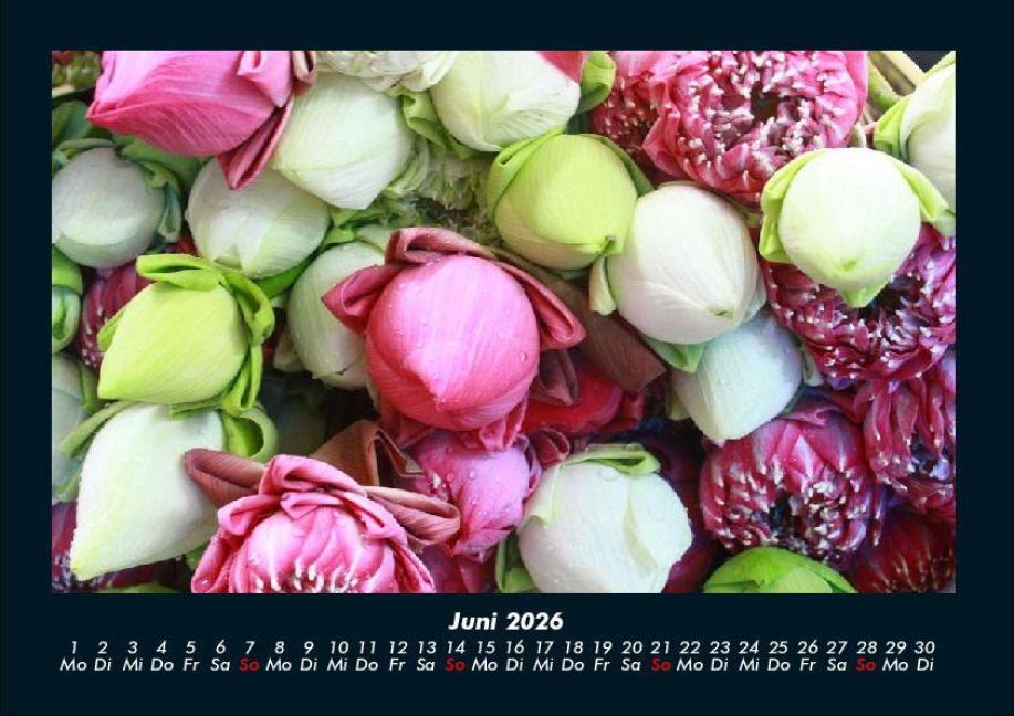 InsideView 10