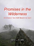Promises in the Wilderness - Gina L. Diorio