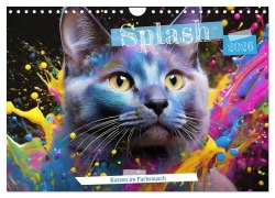Cover-Bild zum Titel 'Splash - Katzen im Farbrausch (Wandkalender 2026 DIN A4 quer), CALVENDO Monatskalender' von 'Fotodesign Verena Scholze'
