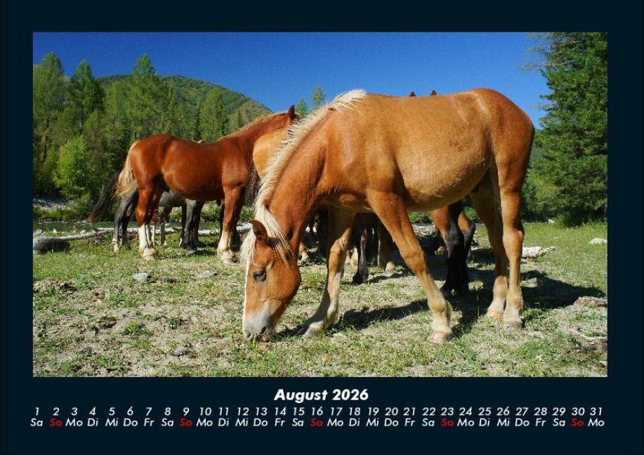 InsideView 12