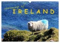 dreaming of IRELAND (Wall Calendar 2024 DIN A3 landscape), CALVENDO 12 Month Wall Calendar - Frank Weber