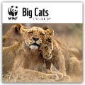 WWF Big Cats - Raubkatzen 2024 - Carousel Calendar