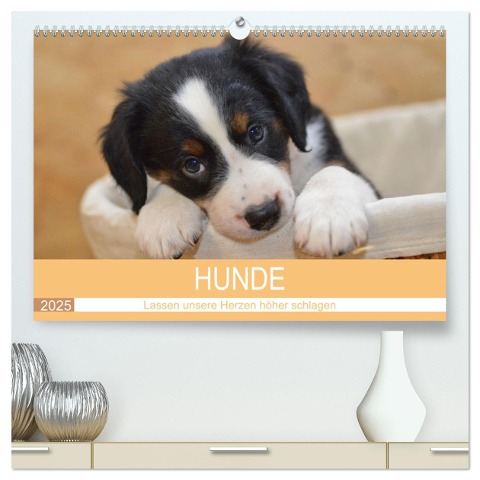 HUNDE - Lassen unsere Herzen höher schlagen (hochwertiger Premium Wandkalender 2025 DIN A2 quer), Kunstdruck in Hochglanz - Sabine Hampe-Neves