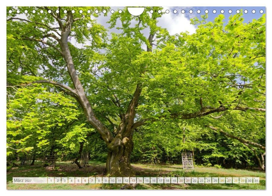 InsideView 8