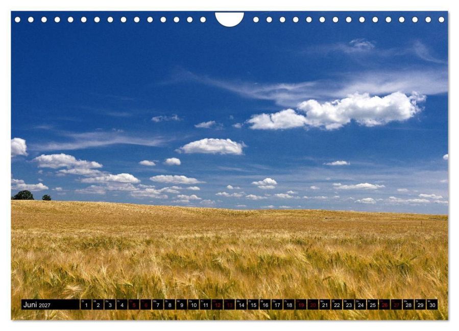InsideView 11
