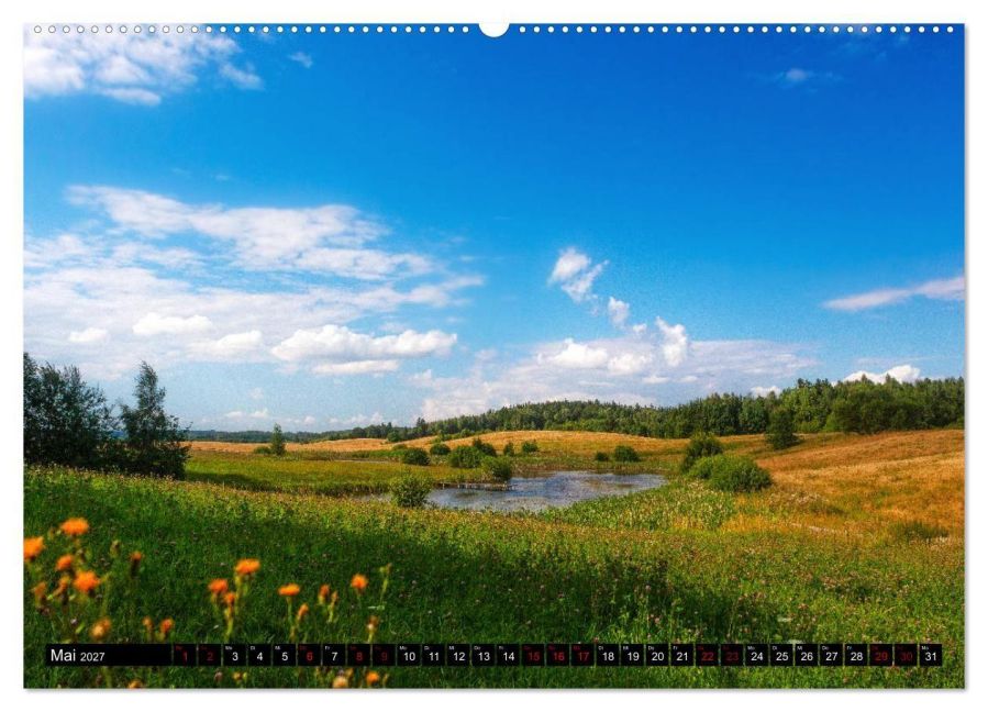 InsideView 10