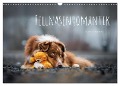 Fellnasenromantik (Wandkalender 2025 DIN A3 quer), CALVENDO Monatskalender - Bettina Dittmann