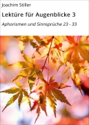 Cover-Bild zum Titel 'Lektüre für Augenblicke 3' von 'Joachim Stiller'