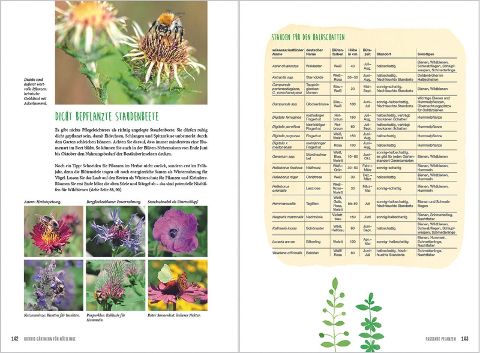 InsideView 13