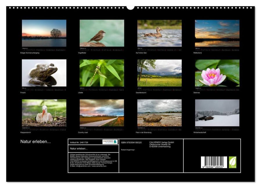 InsideView 4